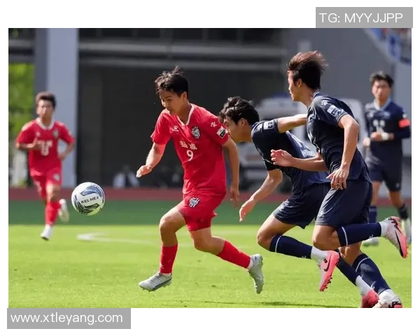 安芬尼赞绿军主场球迷热情享受在这座球馆的比赛氛围